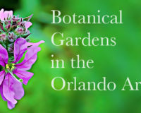 Botanical Gardens in Orlando