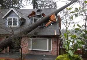 Roof damage caused by storm or wind