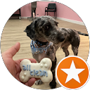 Joe R. profile picture